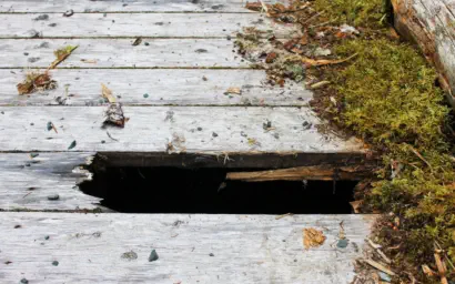 wood rot repair in Kansas City 
