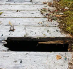wood rot repair in Kansas City